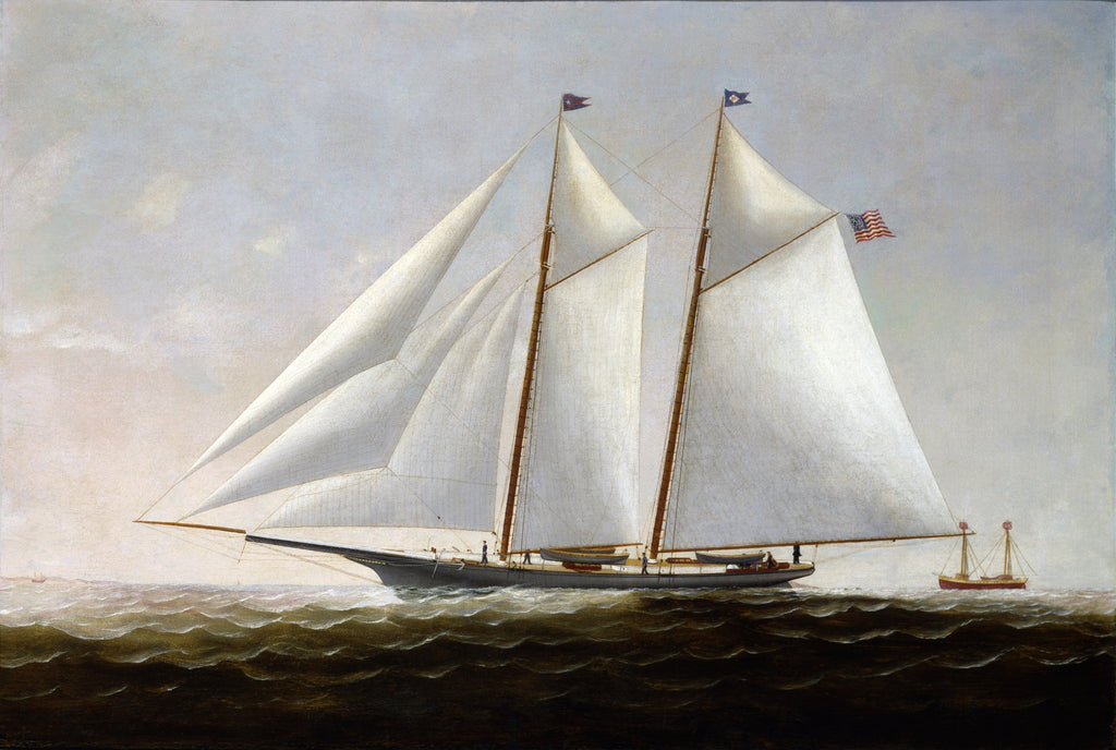 The Yacht America (1877)