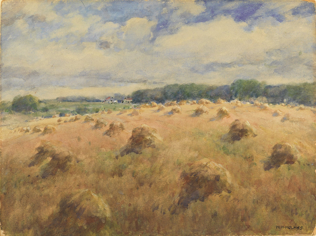 Maryland Wheat Fields