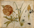 Vintage botanical illustration print featuring a large brown peony flower, a yellow iris with black-and-white falls, green leaves, and small insects on a warm beige background.