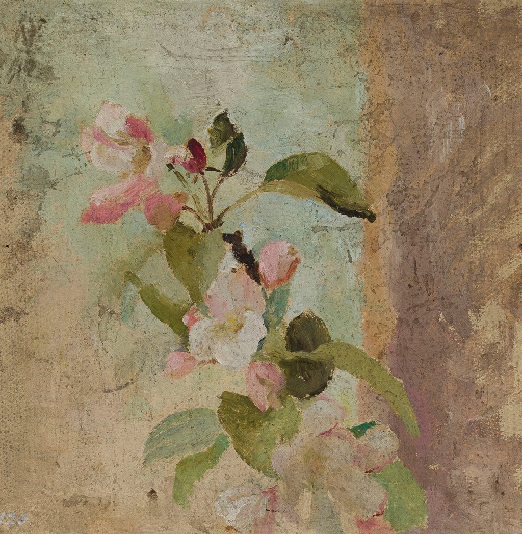 Apple Blossoms