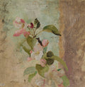 Apple Blossoms
