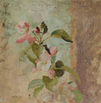 Apple Blossoms