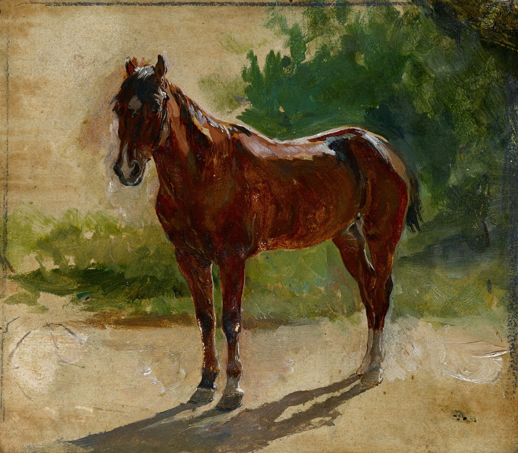 Brown Horse, Study 1860