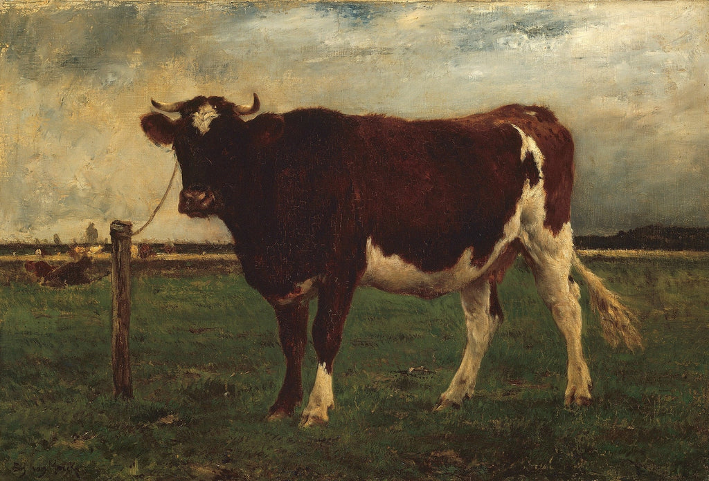 Study of a Cow (1870-90)