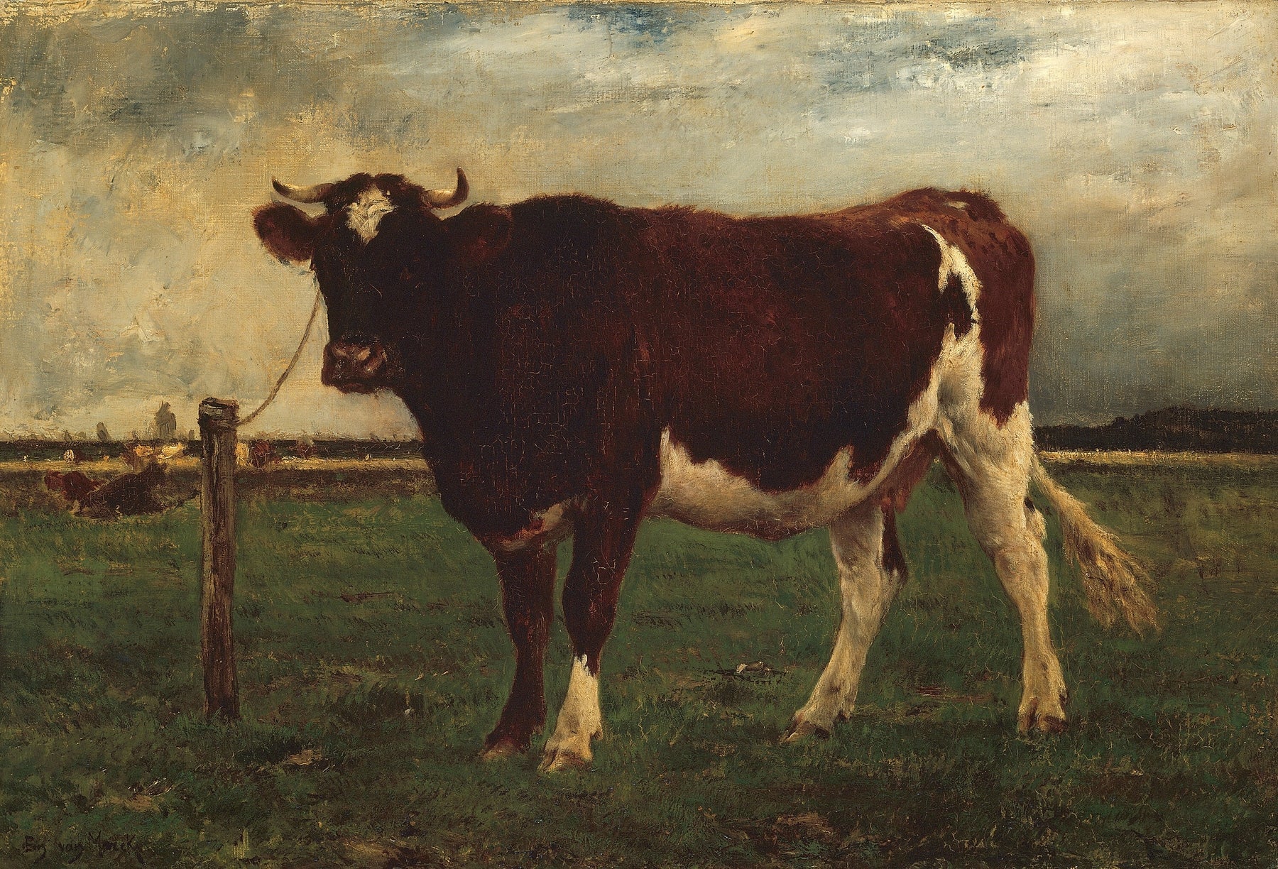 Study of a Cow (1870-90)