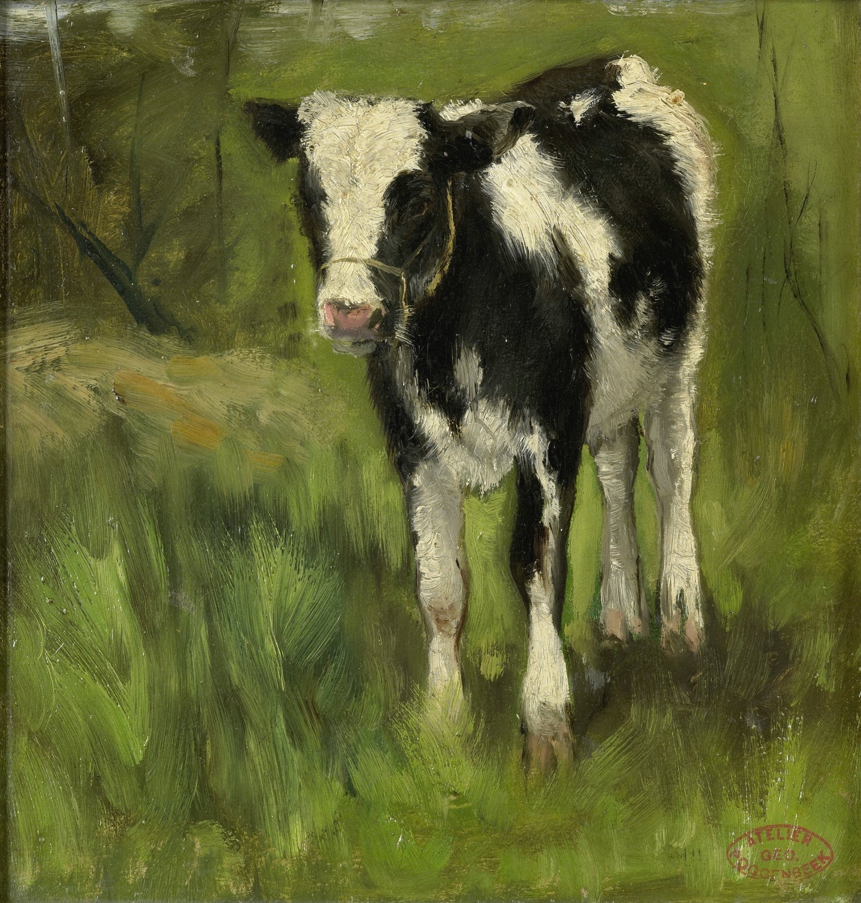 Calf, spotted black and white (c. 1873 - c. 1903)