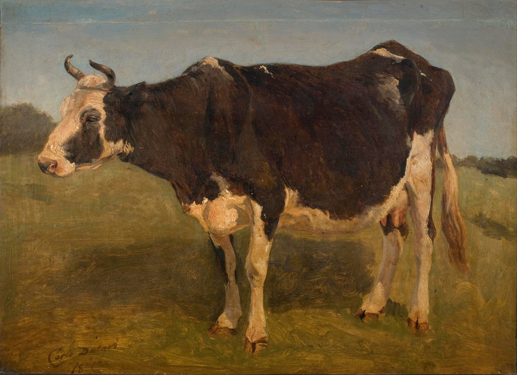Black and white cow standing. Study (1845)