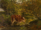 Cow standing by a stream in a forested area