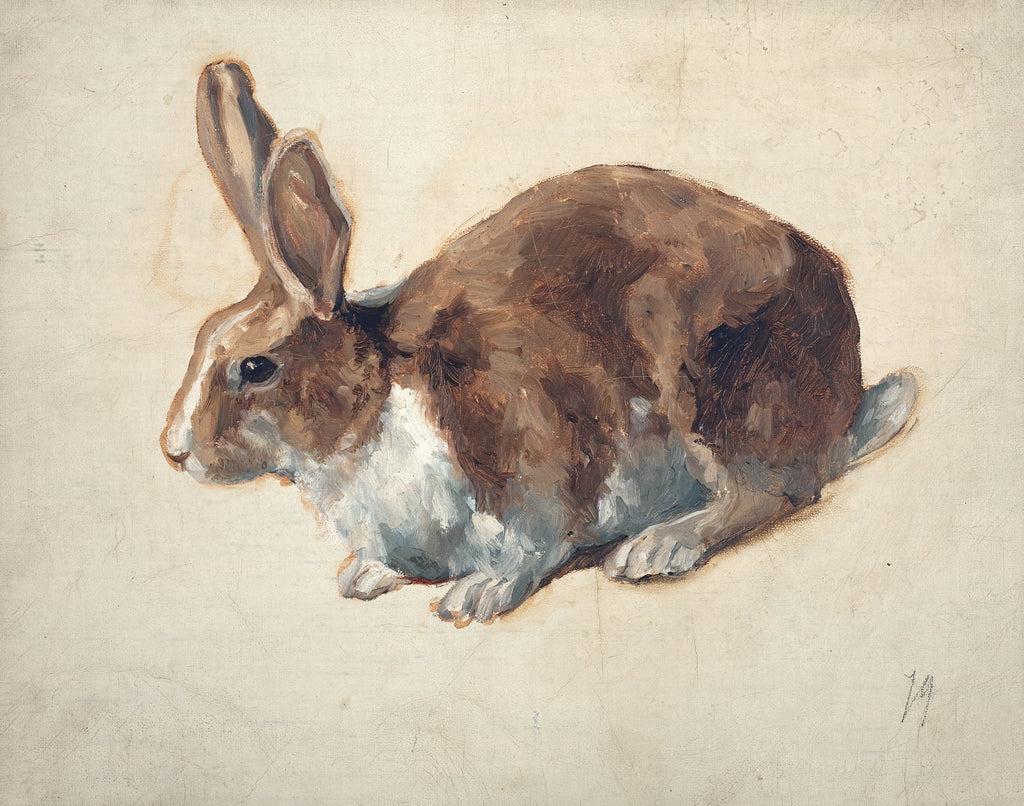 Rabbit