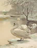 Vintage watercolor illustration of three white swans in a snowy winter landscape with bare trees, a small building, and a pale beige border background. Signed E.