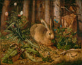 A Hare in the Forest