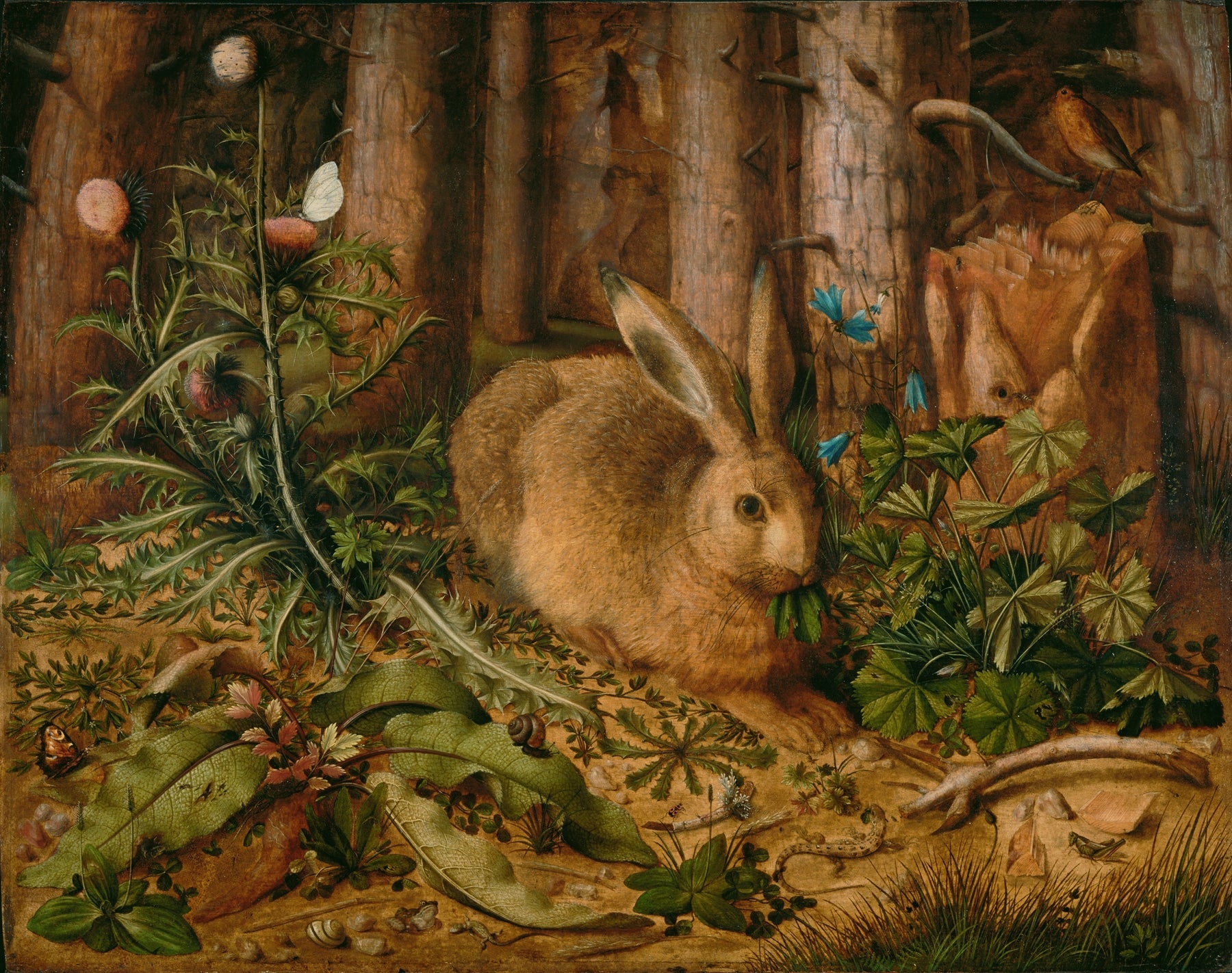 A Hare in the Forest