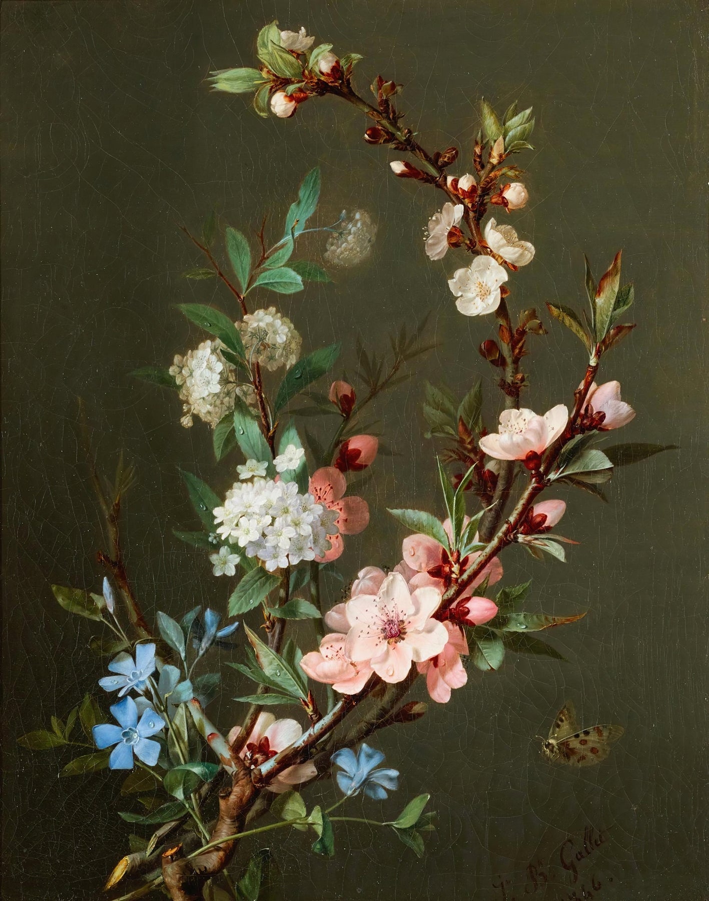 A Still Life with Branches of Cherry Blossom, Periwinkle, and Viburnum Together with a Butterfly (1846)