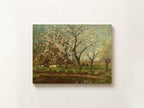 A Spring Landscape