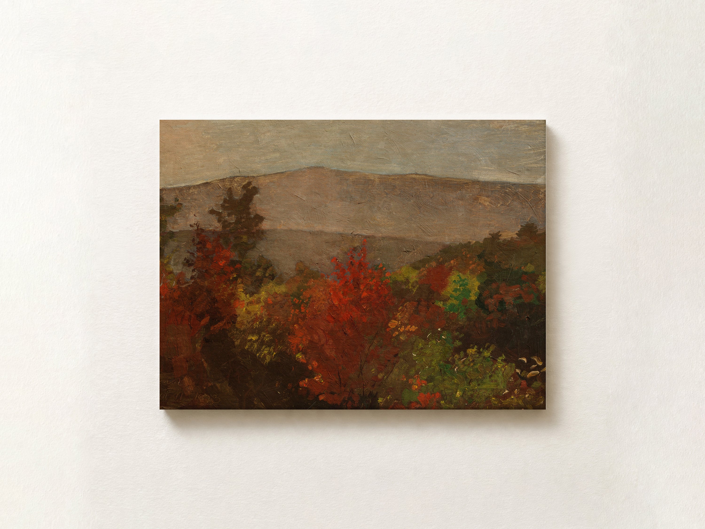 Autumn Treetops