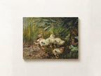 Chicks and a Butterfly