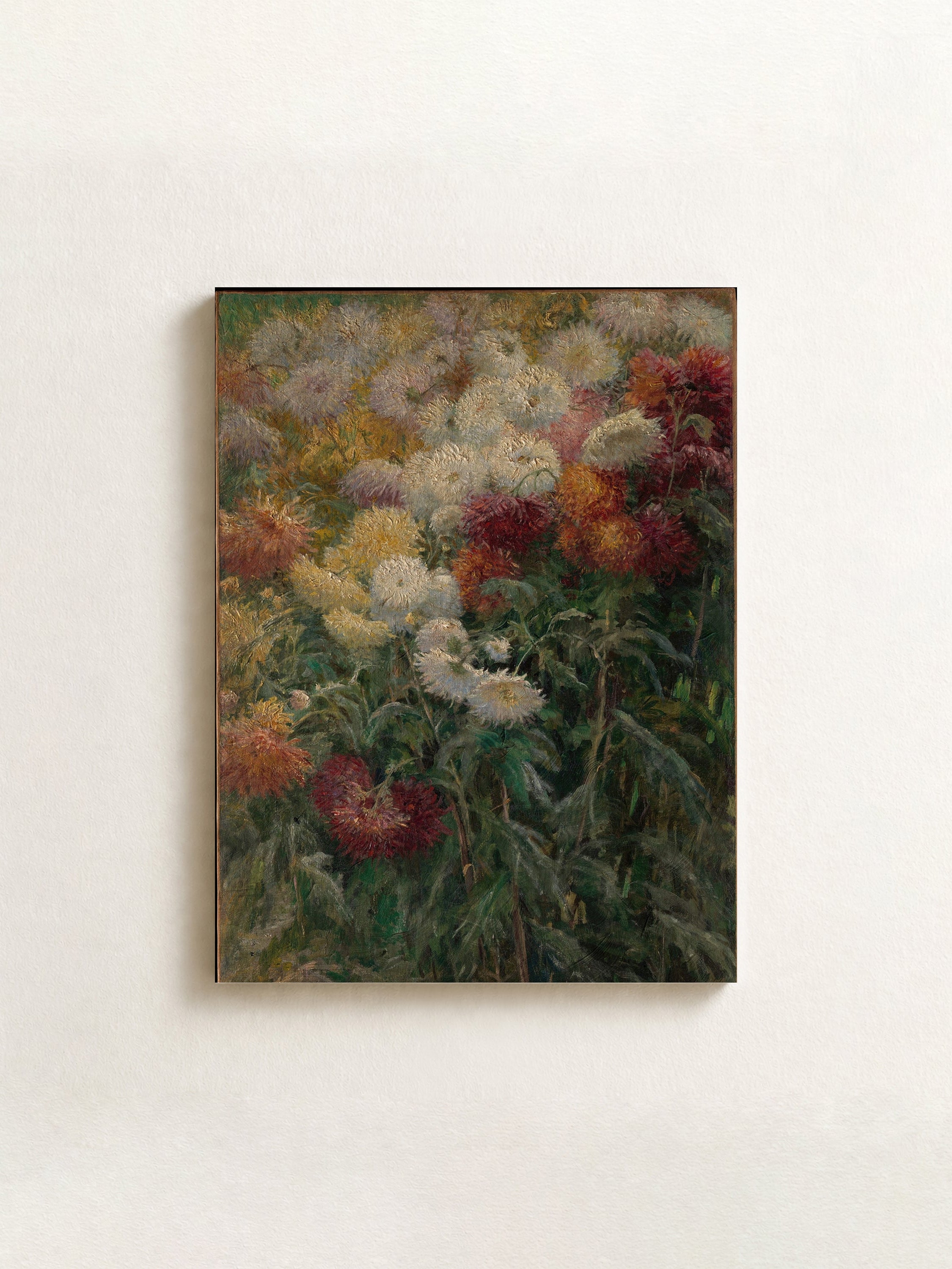 Chrysanthemums in the Garden at Petit-Gennevilliers
