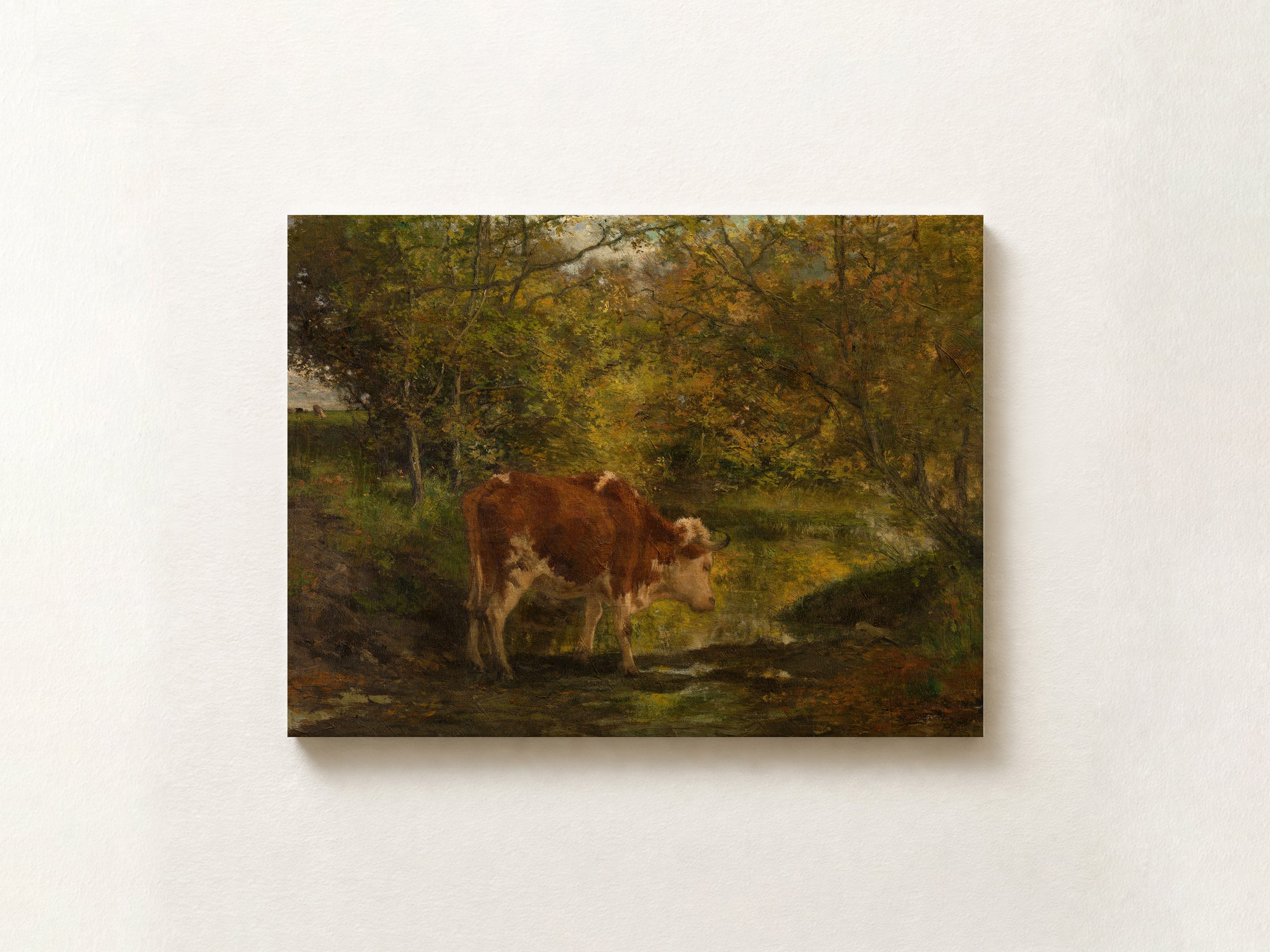 A rectangular canvas print of a classical landscape painting featuring a brown and white cow standing in a sunlit woodland stream, displayed on a textured off-white wall.