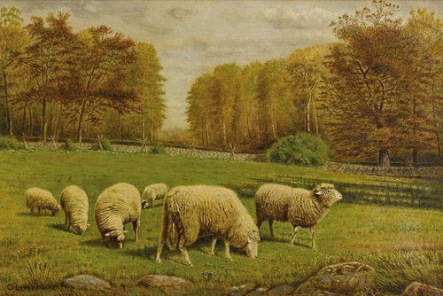 Grazing Sheep (circa 1875)
