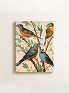 Nonpareil Finch, Pekin Nightingale, Common Blue Bird, Indigo Bird