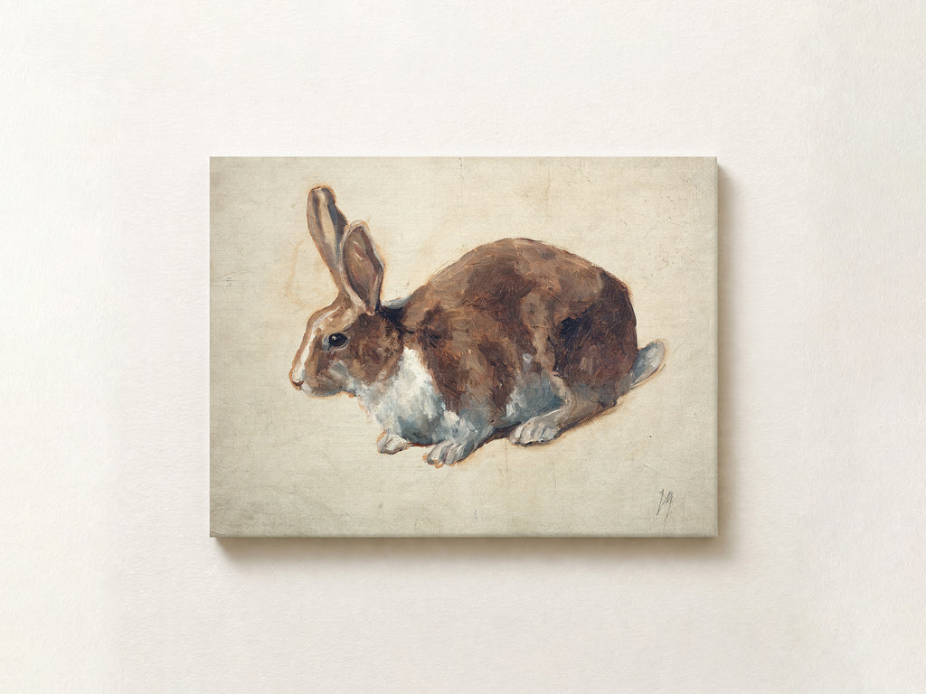 Rabbit