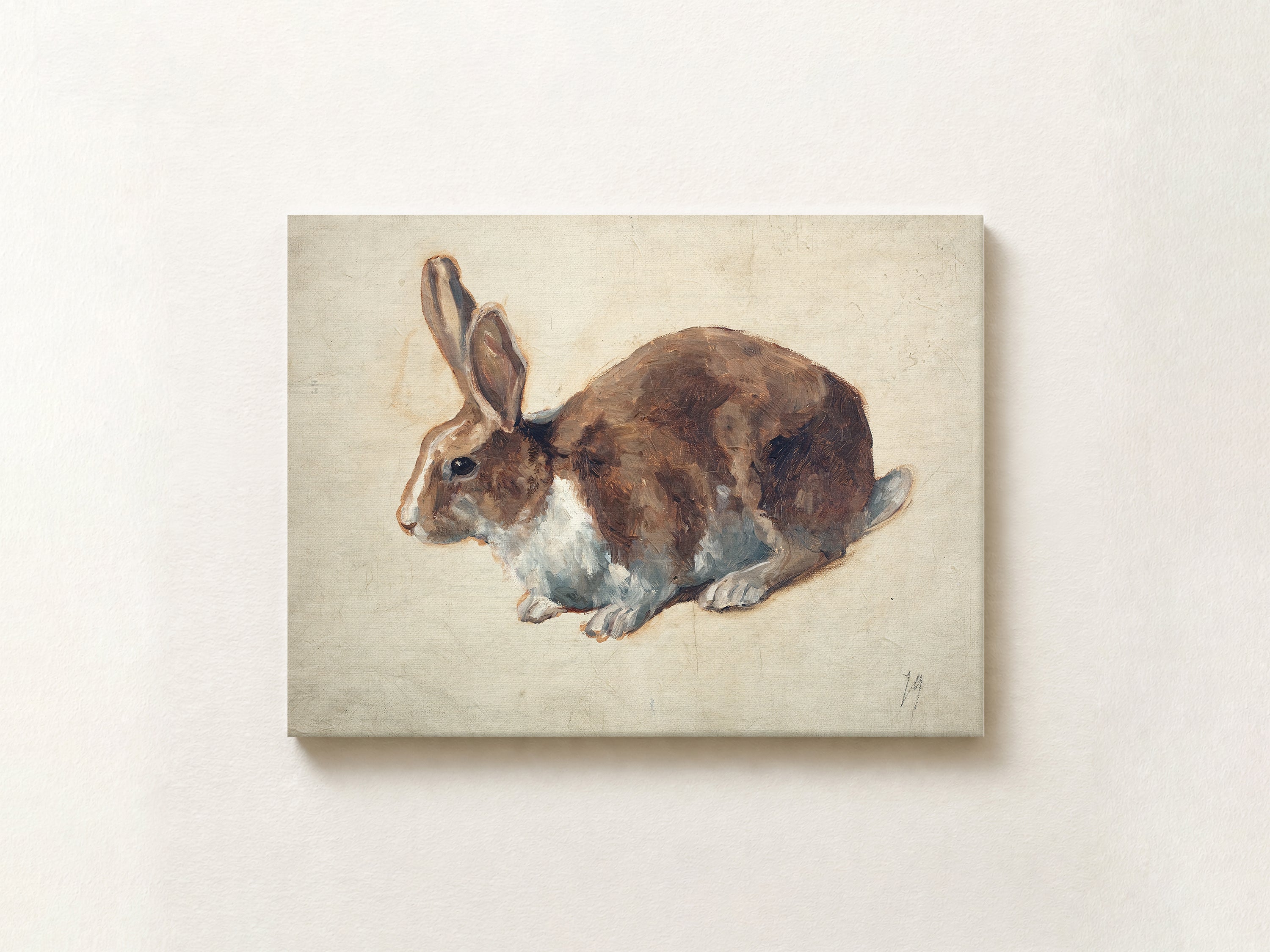Rabbit