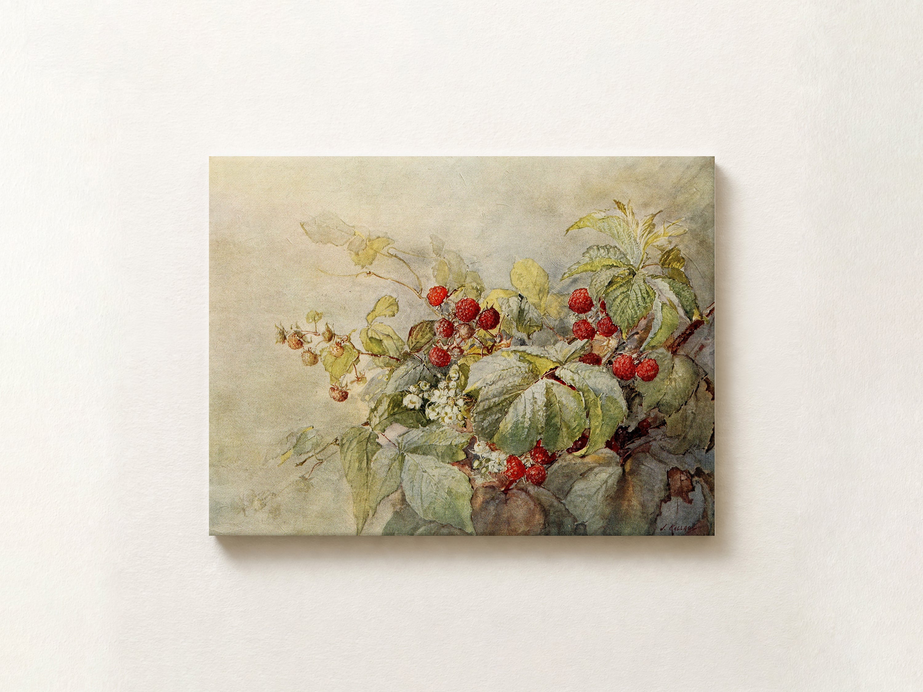 A rectangular canvas wall art print featuring a botanical painting of red berries and green leaves on a soft beige background, displayed against a light textured wall.