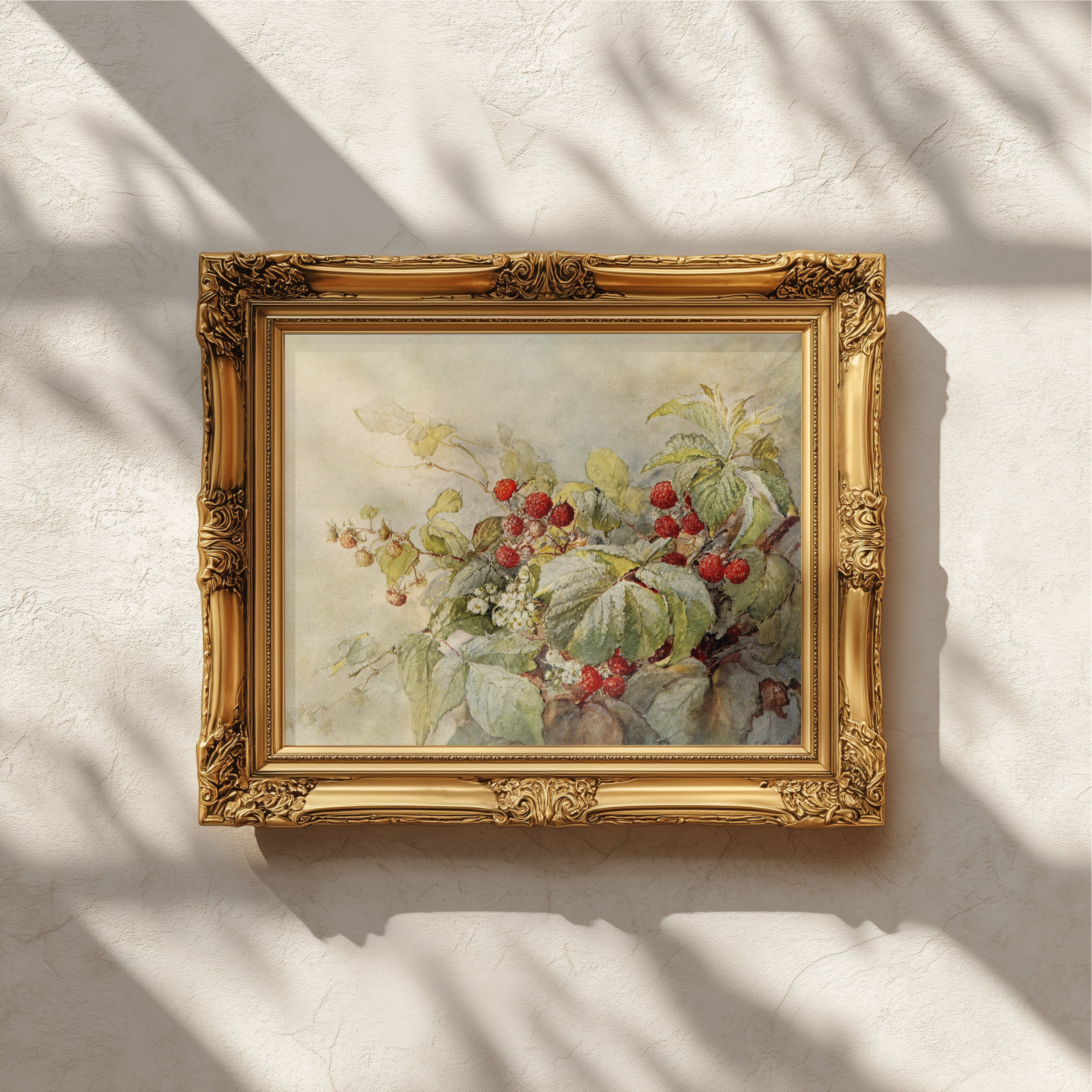 A framed botanical painting of red berries and green leaves, set in an ornate gold frame and mounted on a textured off-white wall with soft leaf shadows cast across it.