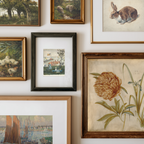 A gallery wall display of multiple framed art prints and paintings, including a rabbit, a duck, a landscape, a small village scene, and a botanical flower print, each in different frame styles against a white wall.