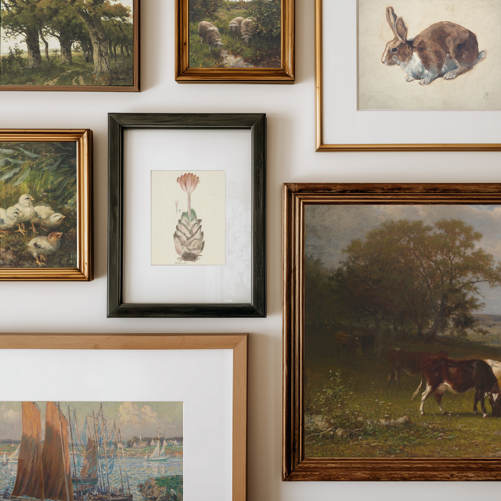 A gallery wall display of multiple framed art prints and paintings, including landscapes, animals, and botanical illustrations in various frames and styles.